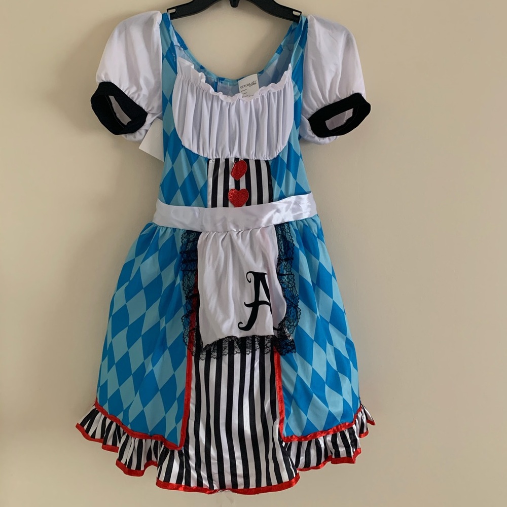 Alice in Wonderland Womens Costume Dress